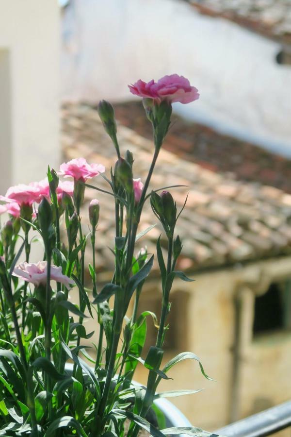 Apartamento Zocailla Suite Gata Esterno foto